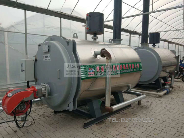 CWNS燃油熱水鍋爐用于西紅柿種植基地